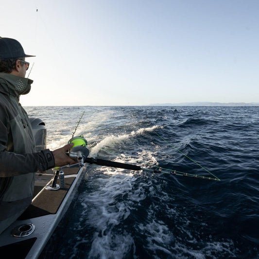 best saltwater conventional reels
