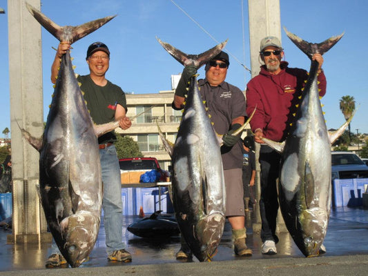 Accurate 14-day American Angler Trip (Jan 12-26, 2019)