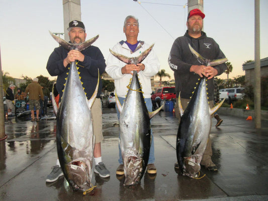 2020 January, Accurate 14-day American Angler Trip