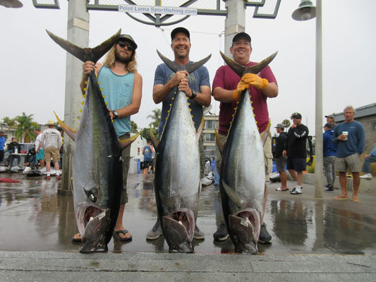 Accurate 5-Day on the American Angler (July 27-Aug 1, 2021)