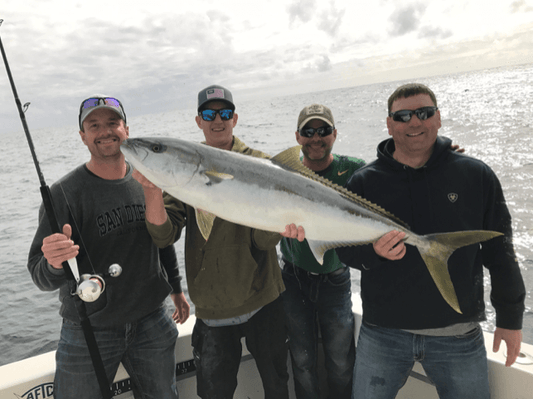 Accurate Tern Reels And Valiant Rods – A Winning Combination