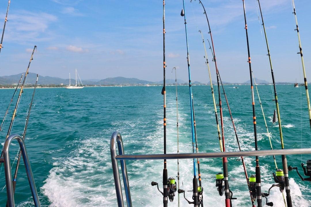 best offshore fishing reels Piscifun Nautix Saltwater Spinning with Full Aluminum Body 3000 NautiX saltwater spinning reel with rugged aluminum/carbon design provides up to 27 Comprehensive Guide to choosing the