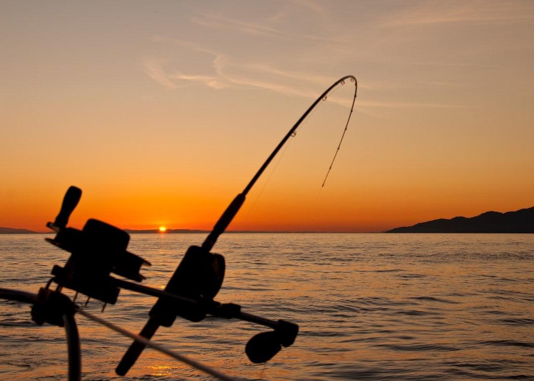 How to Choose the Perfect Salt Water Fishing Rod and Reel Combo Accurate Fishing How to Choose the Perfect Salt Water Fishing Rod and Reel Combo Accurate Fishing