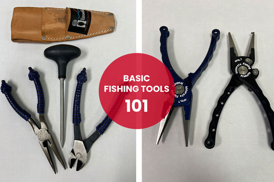Basic Fishing Tools 101