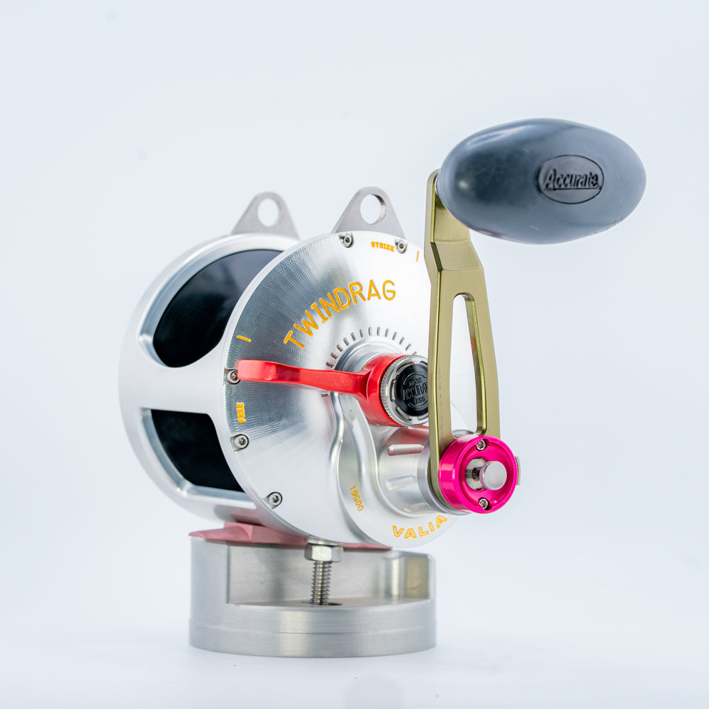 Silver/Multicolor Valiant 1000 2-Speed