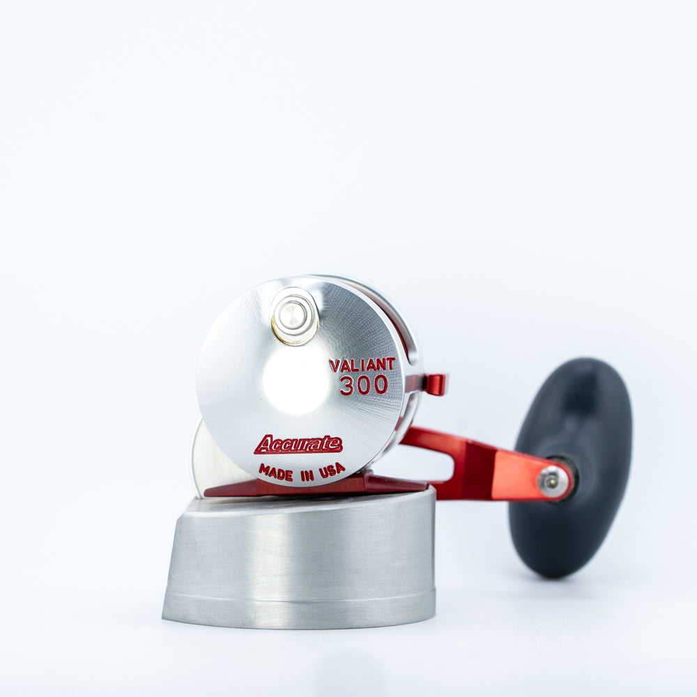 Silver/Red Valiant 300C