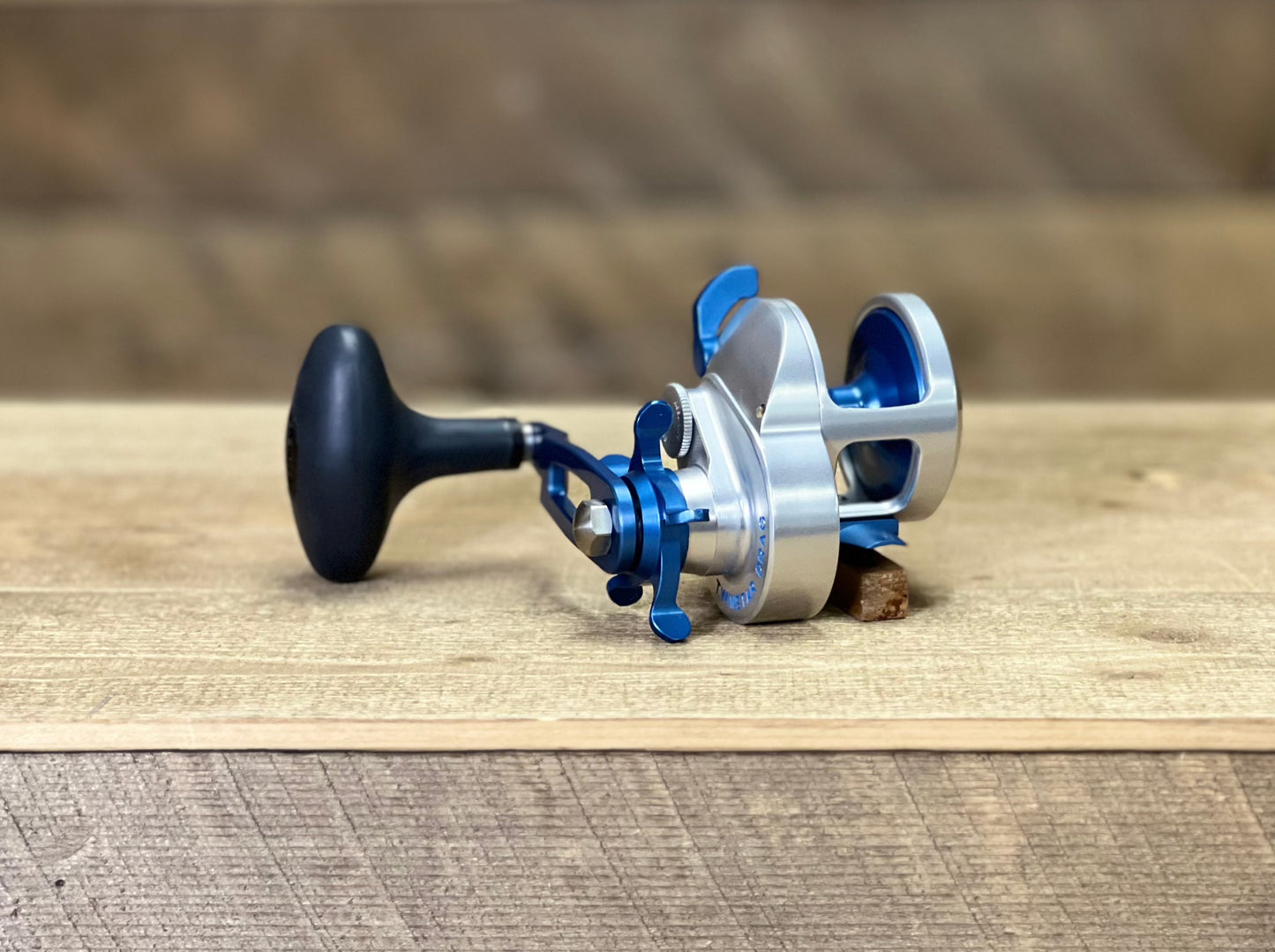 Silver/Blue Tern2 300X