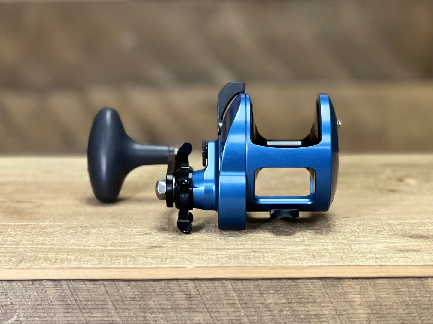 Blue/Black Tern2 600X