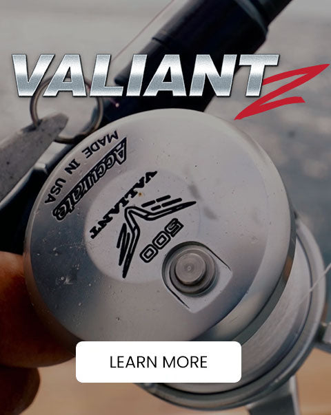 Valiant saltwater fishing reels
