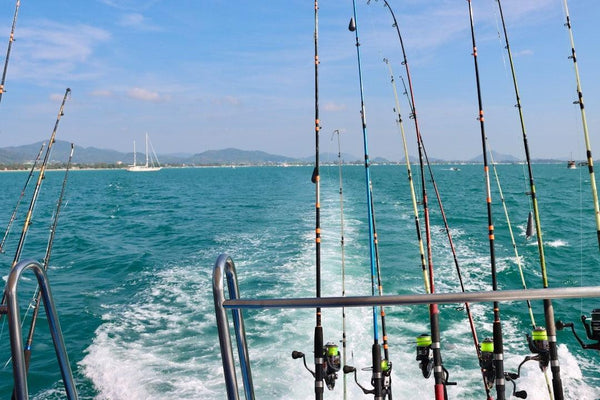 best rod and reel for inshore saltwater fishing Amazon.com : Sougayilang Rods Combo, 7-Foot Casting Rods with ECT15R Trolling Reel, Contoured EVA Handles & Fighting Butt- Right Handed : Sports & Outdoors Two Pack Kid Friendly Choose Hook Size:8 (9pk) Sage Trout Streamers Collection