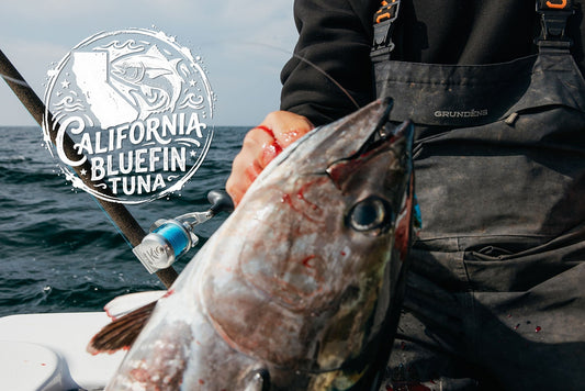California Bluefin Tuna Fishing: Choosing the Right Reel for Every Technique