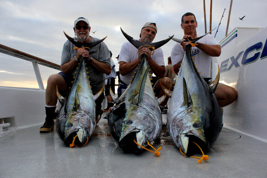 Accurate Fishing Reels