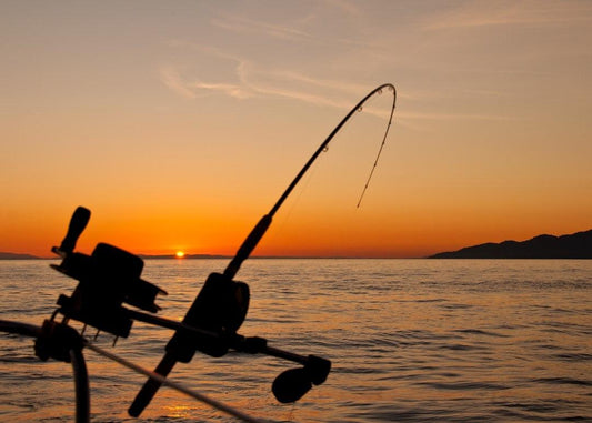 How to Choose the Perfect Salt Water Fishing Rod and Reel Combo for Your Needs