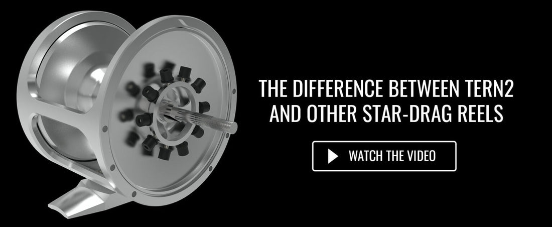 Know The Difference Between Tern2 and a Typical Star-Drag Reel