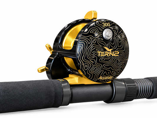 Custom Tern 2 300 + Custom Seeker BCSW908-9T