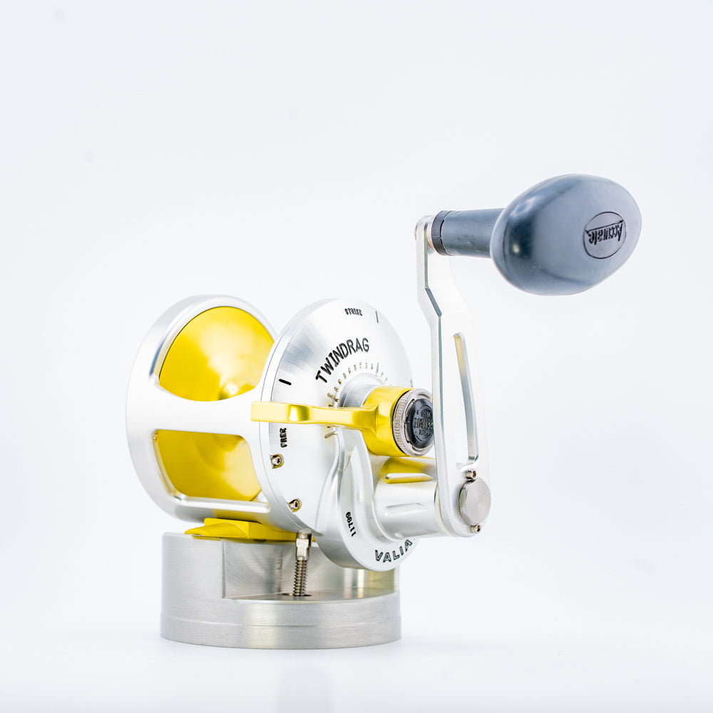 Silver/Yellow Valiant 600