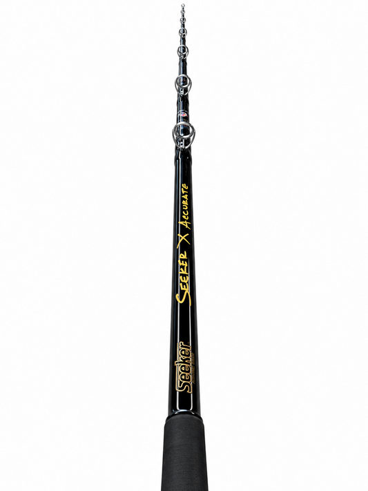 Ascender 600N + Custom Seeker PH-Ulua 93H