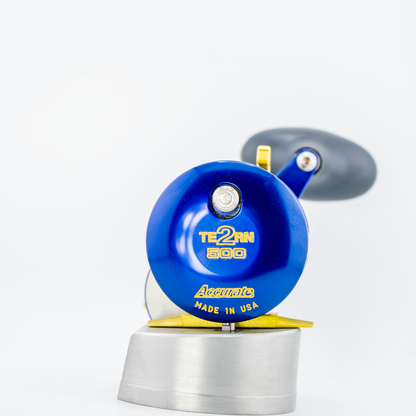 Purple-Blue/Yellow Tern2 500X