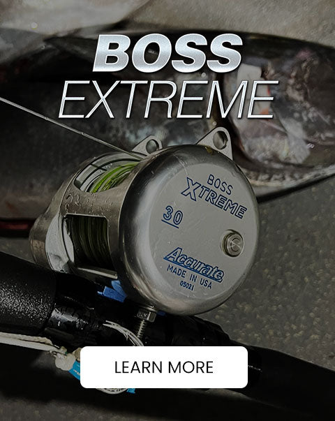 BOSS Saltwater fishing reel