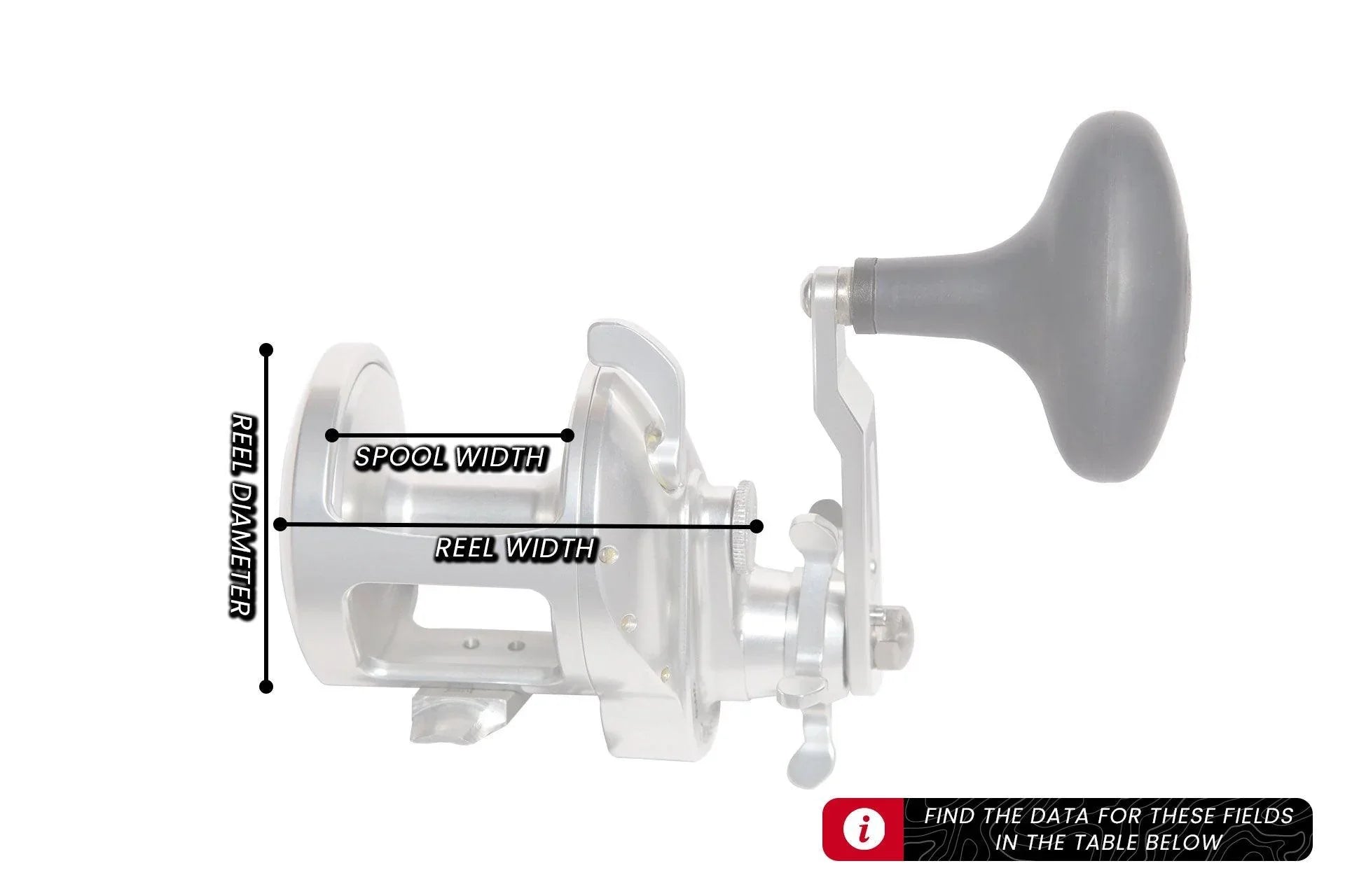Accurate Tern2 Fishing Reel