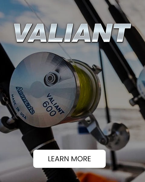 Valiant Saltwater fishing reel